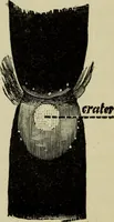 An illustration from Colour measurement and mixture. Published under the direction of the Committee of General Literature and Education appointed by the Society for Promoting Christian Knowledge (1891)