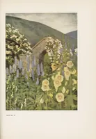 An illustration from Colour in my garden (1918)