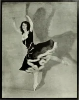 An illustration from Colour photography : and other recent developments of the art of the camera (1908)