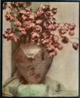 An illustration from Colour photography : and other recent developments of the art of the camera (1908)