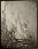 An illustration from Colour photography : and other recent developments of the art of the camera (1908)