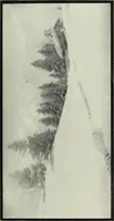 An illustration from Colour photography : and other recent developments of the art of the camera (1908)