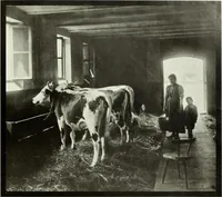 An illustration from Colour photography : and other recent developments of the art of the camera (1908)