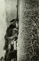 An illustration from Colour photography : and other recent developments of the art of the camera (1908)