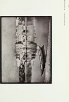 An illustration from Colour photography : and other recent developments of the art of the camera (1908)
