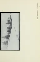 An illustration from Colour photography : and other recent developments of the art of the camera (1908)