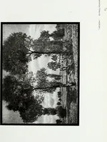 An illustration from Colour photography : and other recent developments of the art of the camera (1908)