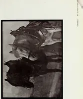 An illustration from Colour photography : and other recent developments of the art of the camera (1908)