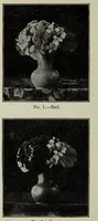 Picture 4 of 19 from Colour photography. A practical treatise for amateurs (1900), leaf 22