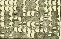 An illustration from The colour printing of carpet yarns; a useful manual for colour-chemists and textile printers (1900)