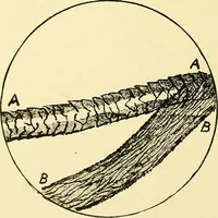 Picture 14 of 14 from The colour printing of carpet yarns; a useful manual for colour-chemists and textile printers (1900), leaf 127