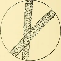 Picture 1 of 14 from The colour printing of carpet yarns; a useful manual for colour-chemists and textile printers (1900), leaf 17