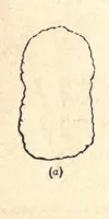 An illustration from The colours of animals, their meaning and use, especially considered in the case of insects; (1890)