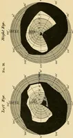 Picture 12 of 12 from Colour vision; being the Tyndall lectures delivered in 1894 at the Royal Institute (1895), leaf 178
