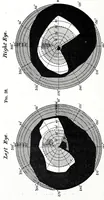 An illustration from Colour vision : being the Tyndall lectures delivered in 1894 at the Royal Institution (1895)