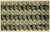Picture 8 of 19 from The Columbia book of yarns (1915), leaf 74