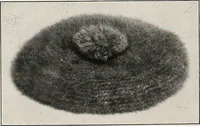 Picture 127 of 242 from The Columbia book of yarns : containing a manual of knitting and crocheting (1916), leaf 133