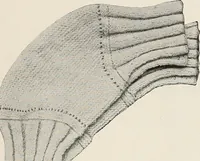 Picture 225 of 242 from The Columbia book of yarns : containing a manual of knitting and crocheting (1916), leaf 227