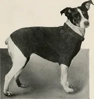 Picture 233 of 242 from The Columbia book of yarns : containing a manual of knitting and crocheting (1916), leaf 232