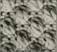 Picture 89 of 242 from The Columbia book of yarns : containing a manual of knitting and crocheting (1916), leaf 77