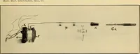 Picture 6 of 7 from A comparison of stellar radiometers and radiometric measurements on 110 stars (1915), leaf 16