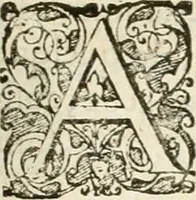 An illustration from Combat d'honneur concerte par les IIII. elemens sur l'heureuse entrée de Madame la duchesse de La Valette en la ville de Metz : ensemble la resiouyssance publicq. concertee par les habitans de la ville, et du pays sur le mesme sujet (1627)