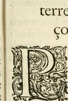 An illustration from Combat d'honneur concerte par les IIII. elemens sur l'heureuse entrée de Madame la duchesse de La Valette en la ville de Metz : ensemble la resiouyssance publicq. concertee par les habitans de la ville, et du pays sur le mesme sujet (1627)