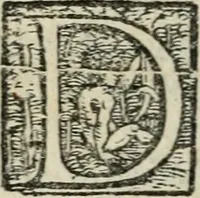 An illustration from Comedia (1562)