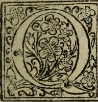 An illustration from Comedia Aulegrafia (1619)