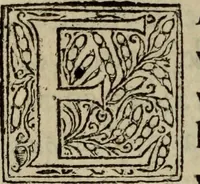 An illustration from Comedia Aulegrafia (1619)