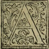 Picture 23 of 57 from Comedia Aulegrafia (1619), leaf 124