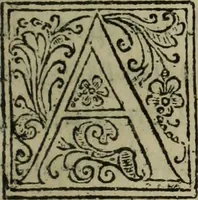 An illustration from Comedia Aulegrafia (1619)