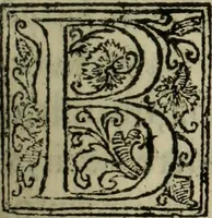 An illustration from Comedia Aulegrafia (1619)