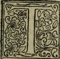 An illustration from Comedia Aulegrafia (1619)