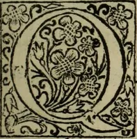 An illustration from Comedia Aulegrafia (1619)