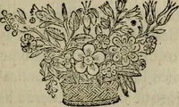 Picture 34 of 57 from Comedia Aulegrafia (1619), leaf 218