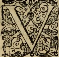 Picture 37 of 57 from Comedia Aulegrafia (1619), leaf 239