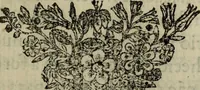 Picture 4 of 57 from Comedia Aulegrafia (1619), leaf 26