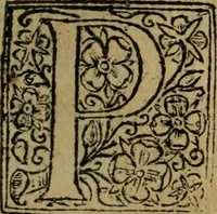 An illustration from Comedia Aulegrafia (1619)
