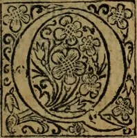 An illustration from Comedia Aulegrafia (1619)