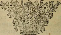 An illustration from Comedia Aulegrafia (1619)