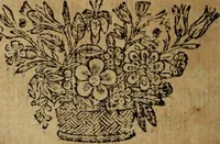 An illustration from Comedia Aulegrafia (1619)