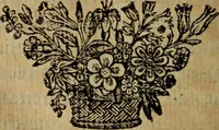 Picture 51 of 57 from Comedia Aulegrafia (1619), leaf 323
