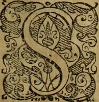An illustration from Comedia Aulegrafia (1619)