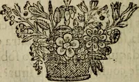 An illustration from Comedia Aulegrafia (1619)