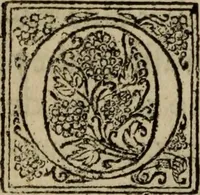 An illustration from Comedia Aulegrafia (1619)