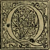 An illustration from Comedia Aulegrafia (1619)