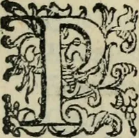 An illustration from Comedie di M. Gianmaria Cecchi, Fiorentino : Libro primo. Nel quale si contengono, La dote; La moglie; Il corredo; La stiaua; Il donzello; Gl'incantesimi; Lo spirito .. (1585)