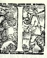 Picture 23 of 43 from Comedie di m. Girolamo Parabosco .. (1560), leaf 341