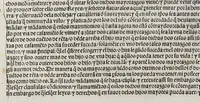 An illustration from Comiençan las cortes que Su Magestad del emperador y rey nuestro señor tuuo en la villa de Madrid: : con las leyes, y prematicas que en ella hizo, y ordeno. Juntamente con la prematica de las mulas, hecha en la ciudad de Toledo: y la declaracion despues hecha en las cortes de Madrid el año passado de mil y quinientos y treynta y quatro. (1535)